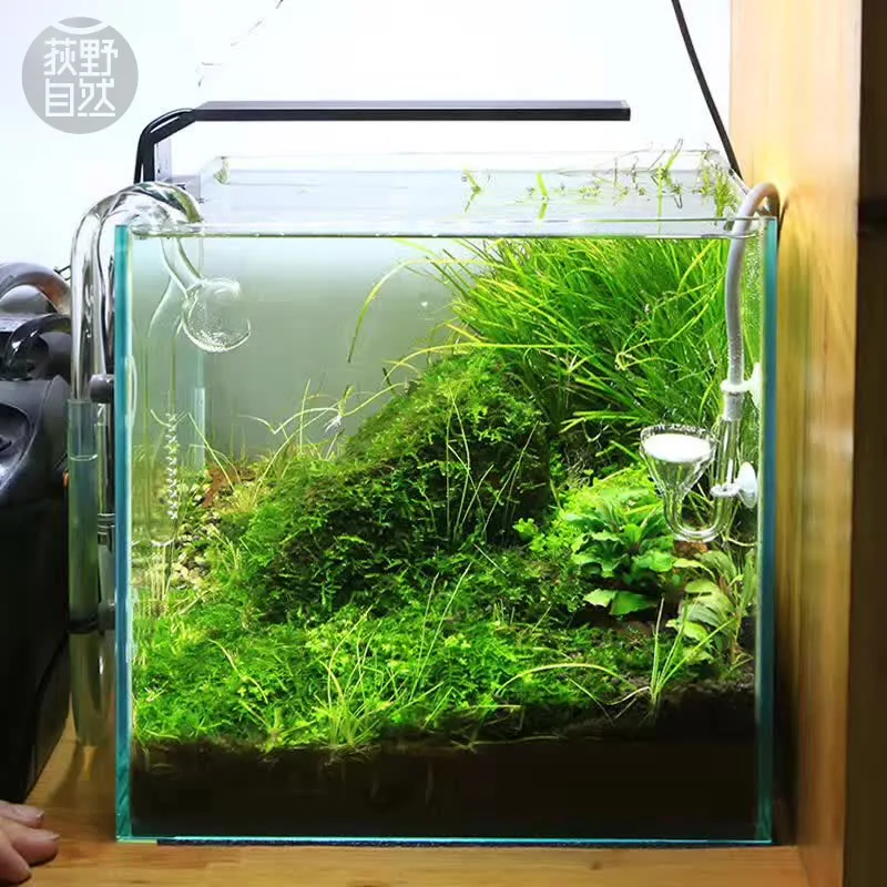 Aquarium Plant Growth Light - Chihiros C Series ADA Style Plant