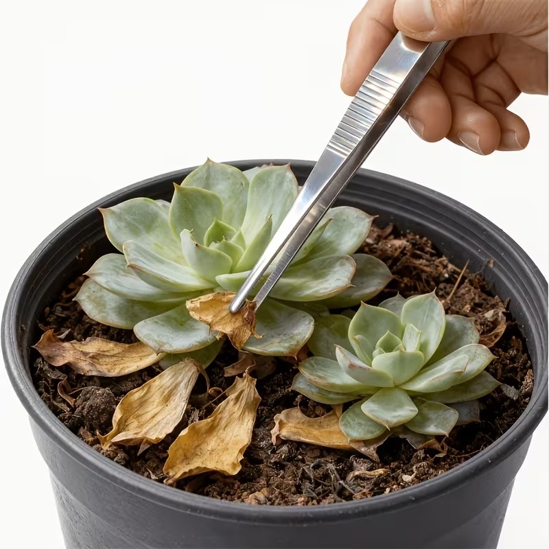 Planted Aquarium Tips - Zestaw 2 szt. pęset ze stali