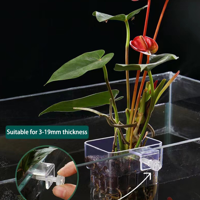 Aquarium For Planted Tank - Wielofunkcyjny akwarium dla ryb kubek do