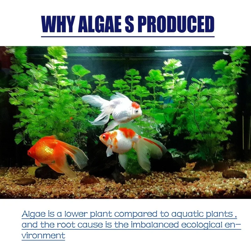 50g Wysokowydajny środek do zw – Planted Aquarium Algae Control recenzja i cena