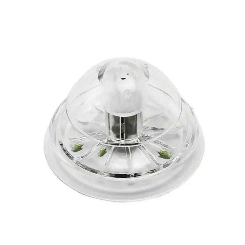 2026 Nowa przezroczysta plasti – Aquarium For Planted Tank recenzja i cena