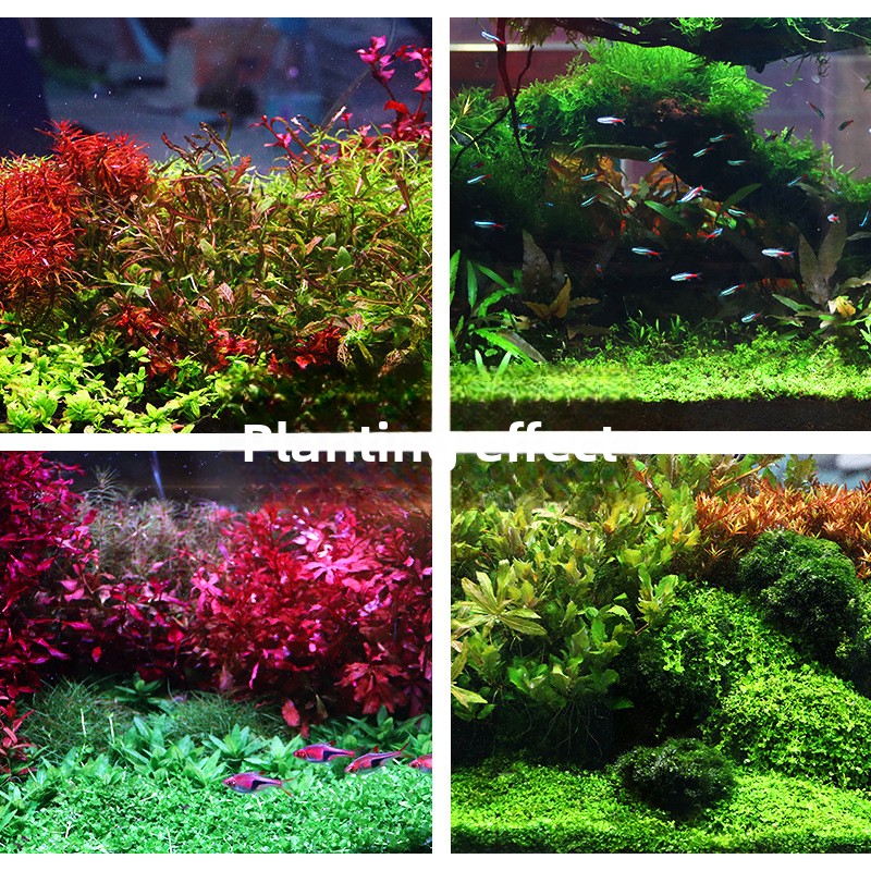 SYSENCIAGA Substrat do akwariu – Aquarium For Planted Tank recenzja i cena