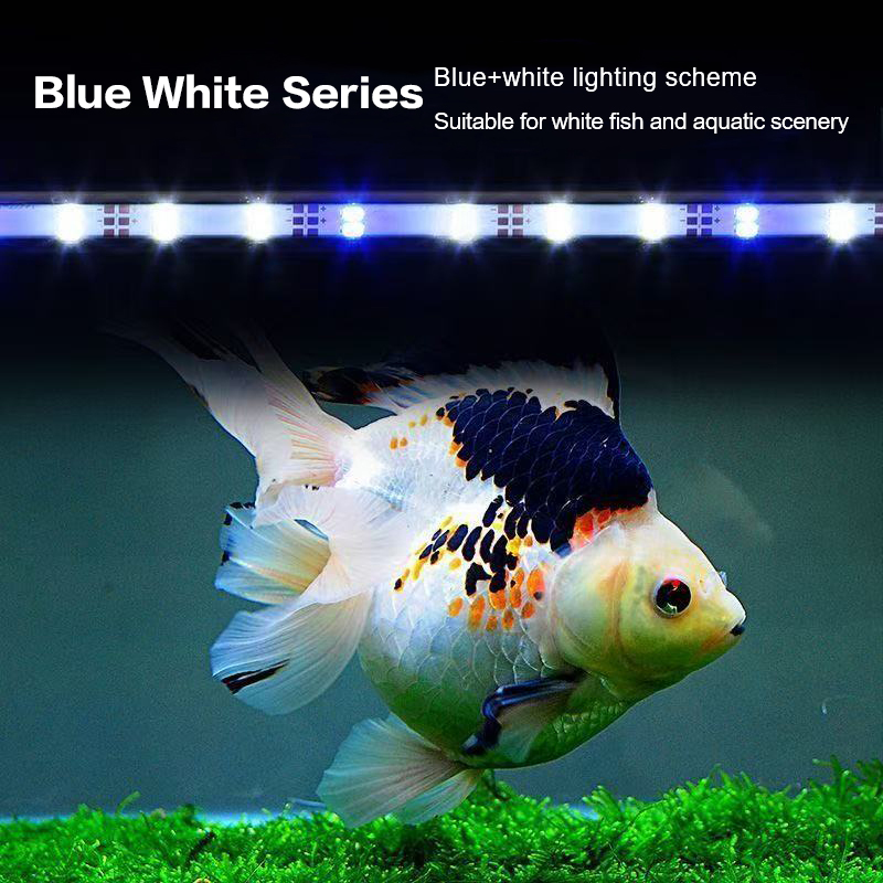 Lampa akwariowa LED z wtyczką  – Aquarium Plant Growth Light recenzja i cena