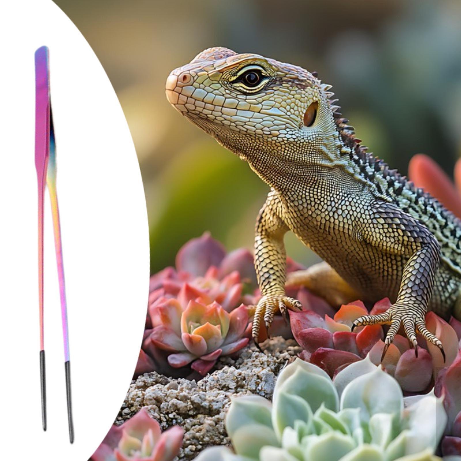 Szczypce do karmienia gadów z  – Planted Aquarium Tips recenzja i cena