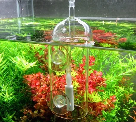 VIV Do urządzenie Cylinder akw – Planted Aquarium Equipment recenzja i cena