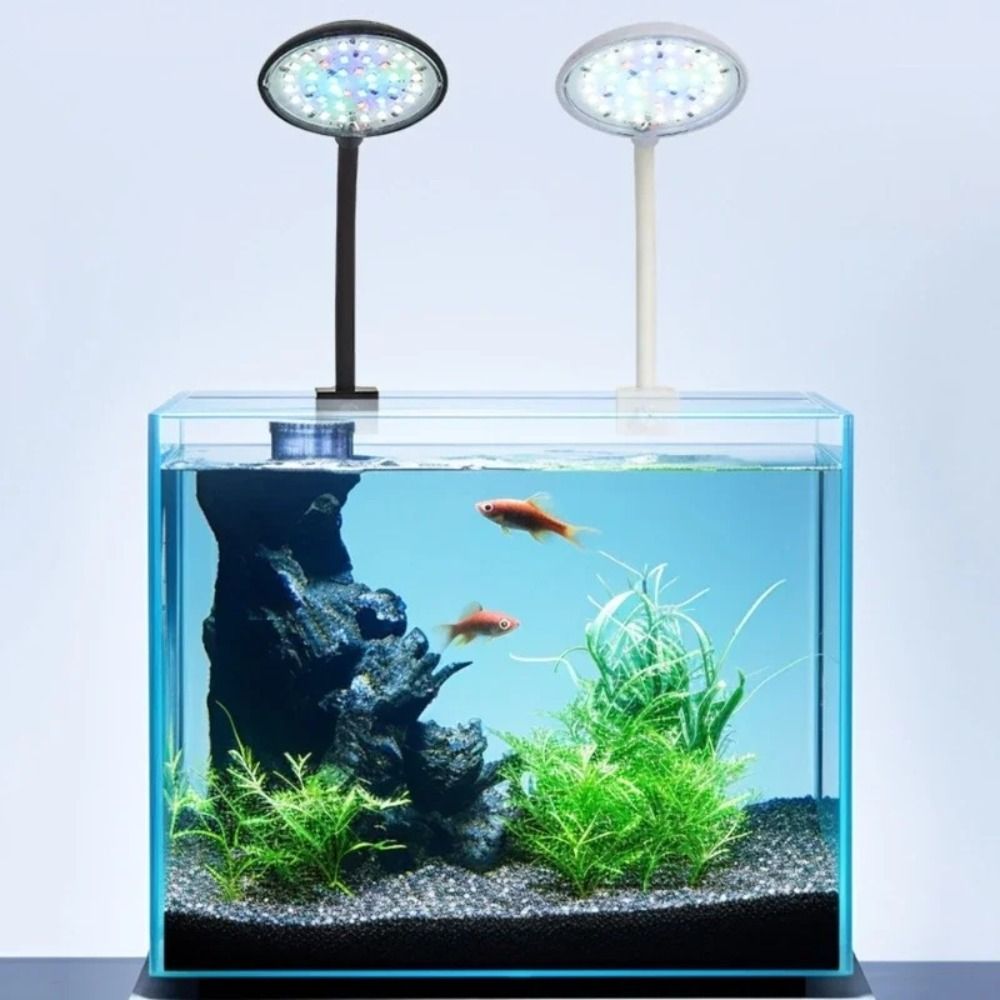 Mini Lampa Klipsowa do Akwariu – Planted Aquarium Mini recenzja i cena