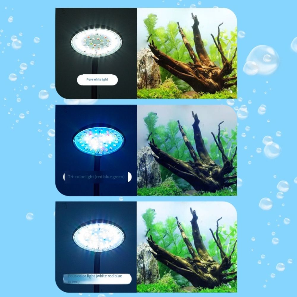 Mini Lampa Klipsowa do Akwariu – Planted Aquarium Mini recenzja i cena