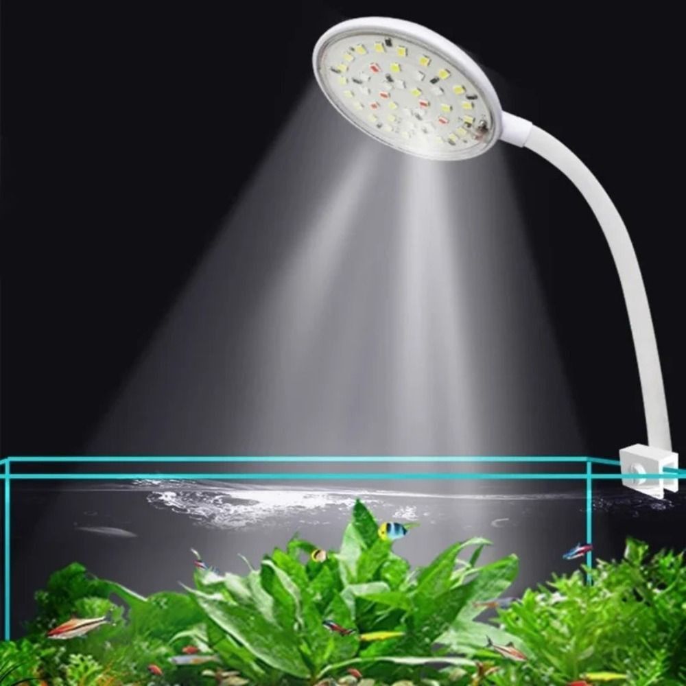 Mini Lampa Klipsowa do Akwariu – Planted Aquarium Mini recenzja i cena