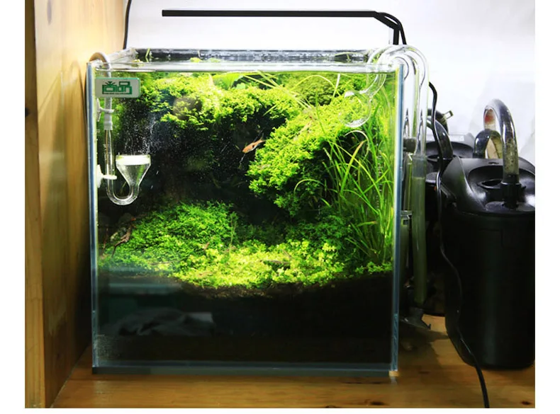 Chihiros C Series ADA Style Pl – Aquarium Plant Growth Light recenzja i cena