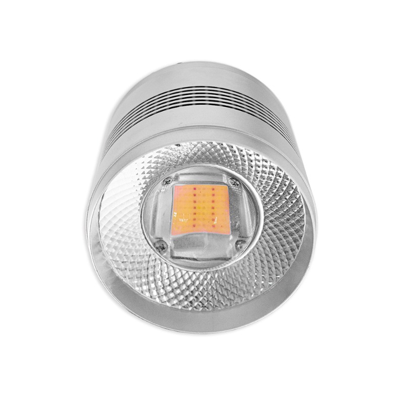 Lampa LED do akwarium słodkowo – Planted Aquarium Algae Control recenzja i cena