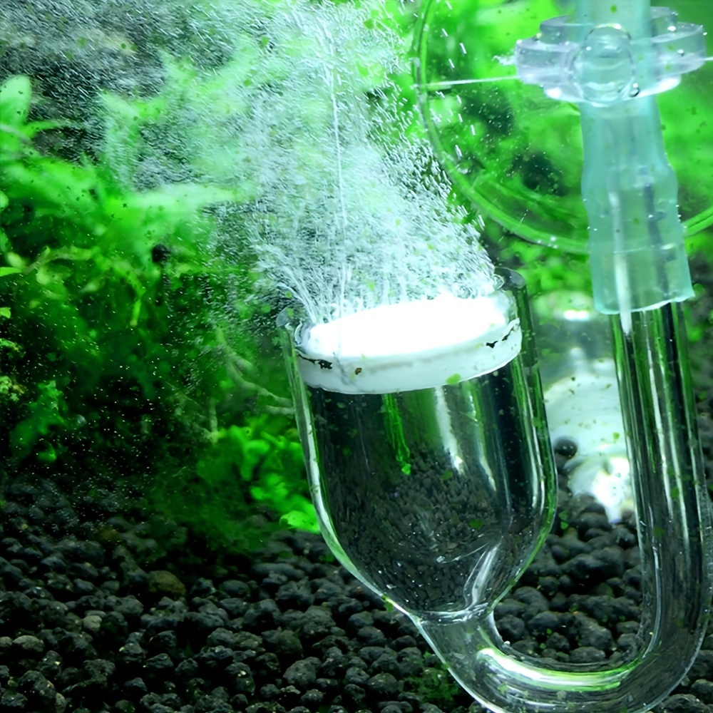 Szklany atomizer CO2 do akwari – Planted Aquarium Equipment recenzja i cena