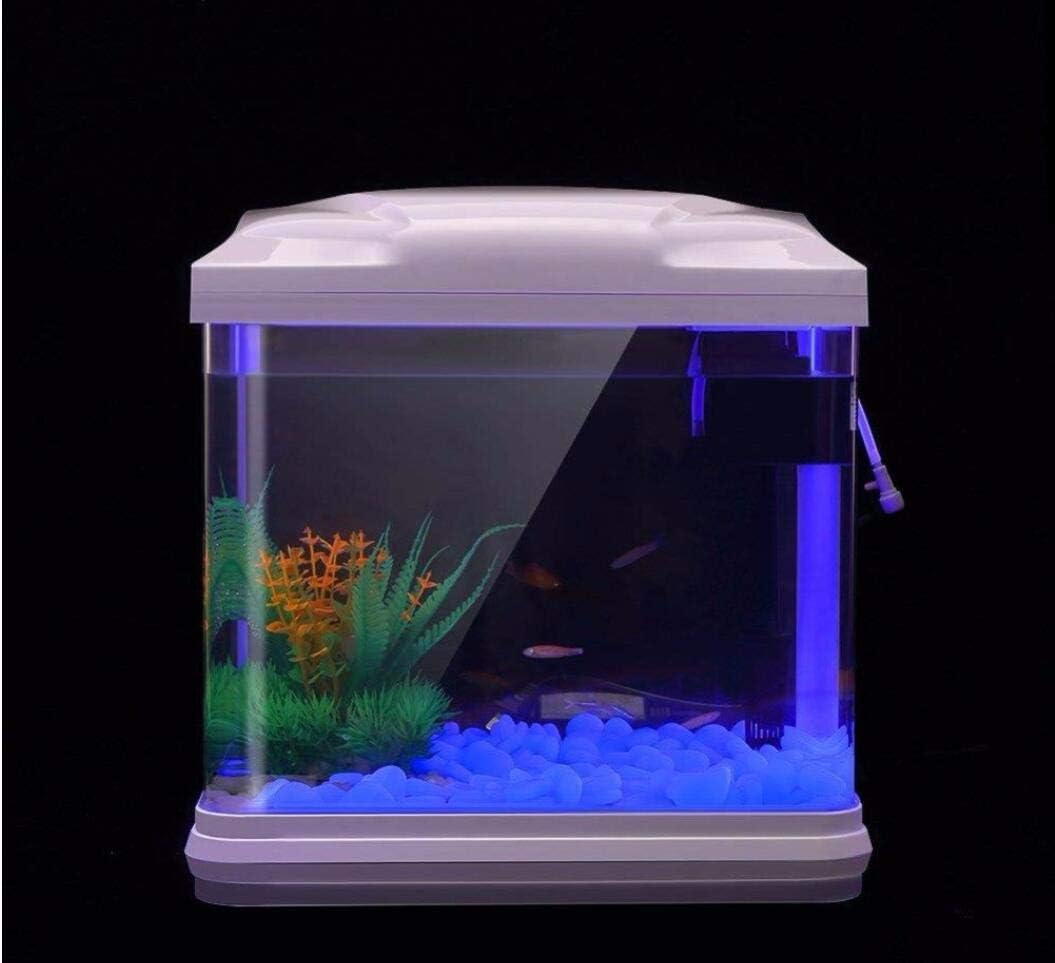 Fish Tank Rocks Glow Blue Pebb – Aquarium For Planted Tank recenzja i cena