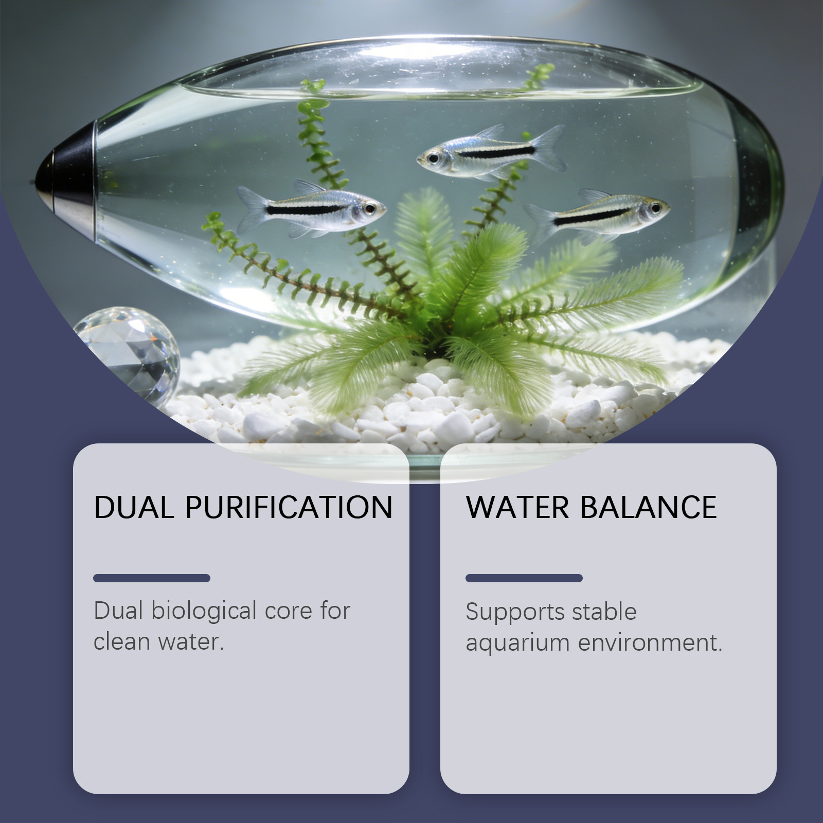 Tabletki do usuwania glonów do – Planted Aquarium Algae Control recenzja i cena