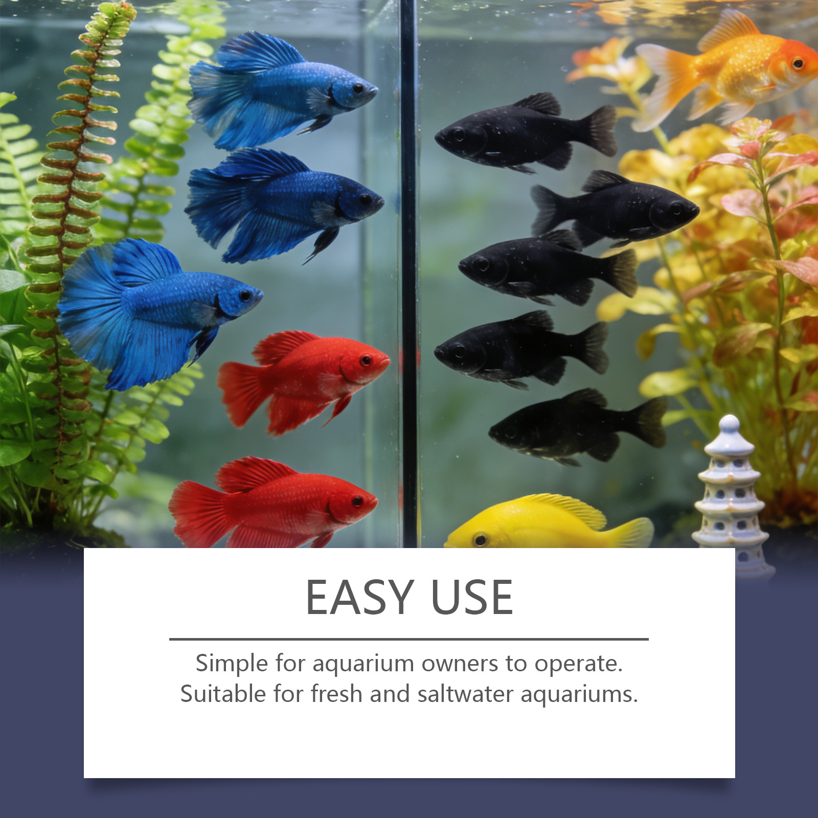 Tabletki do usuwania glonów do – Planted Aquarium Algae Control recenzja i cena
