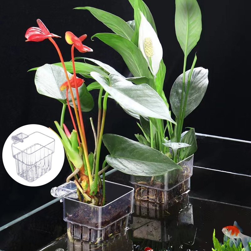 Wielofunkcyjny akwarium dla ry – Aquarium For Planted Tank recenzja i cena