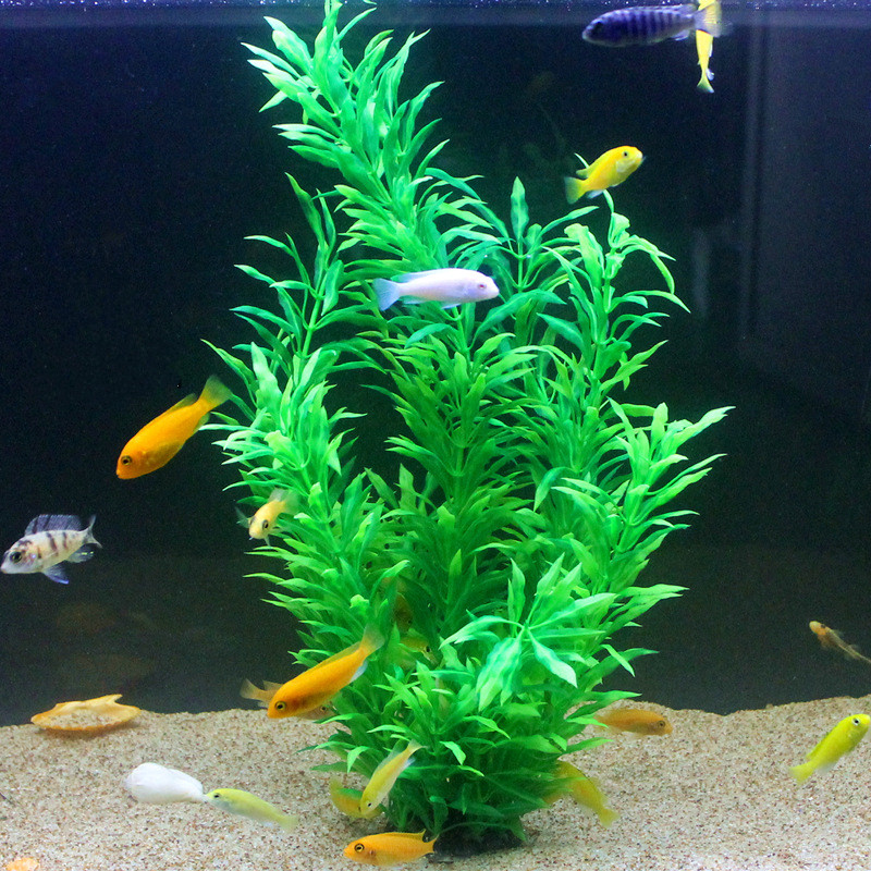 50CM sztuczne akwarium rzadkie – Aquarium For Planted Tank recenzja i cena