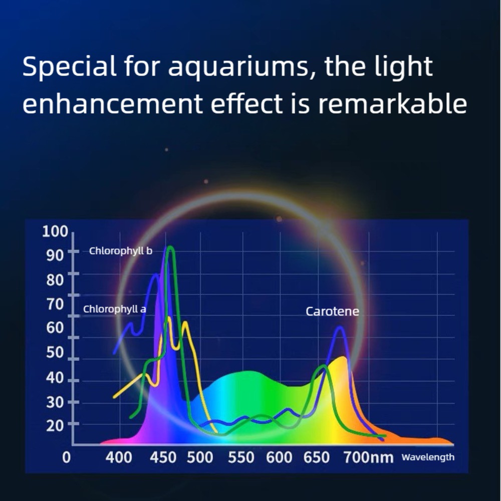 Mini Lampa LED do Akwarium z K – Planted Aquarium Mini recenzja i cena