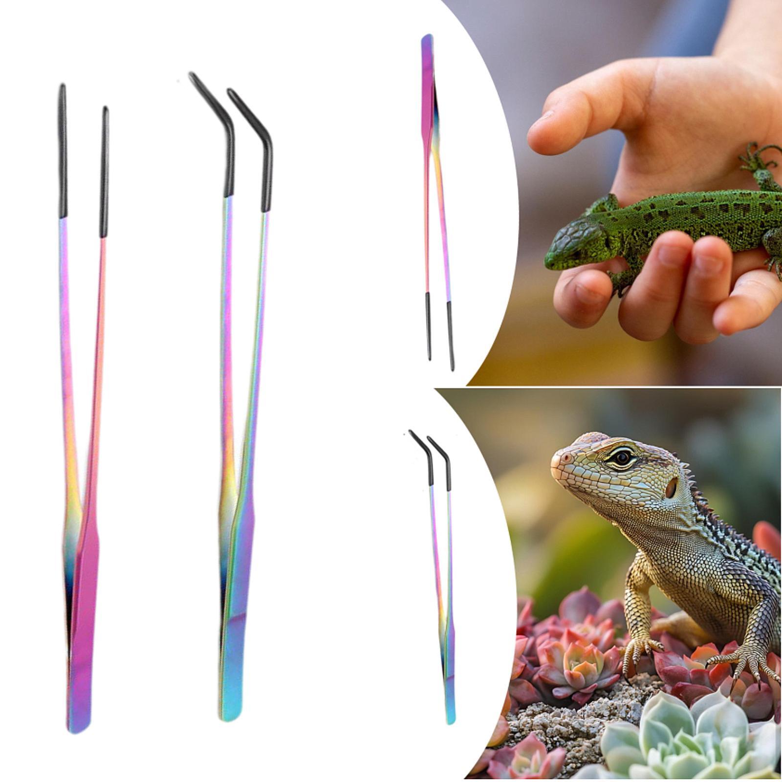 Szczypce do karmienia gadów z  – Planted Aquarium Tips recenzja i cena