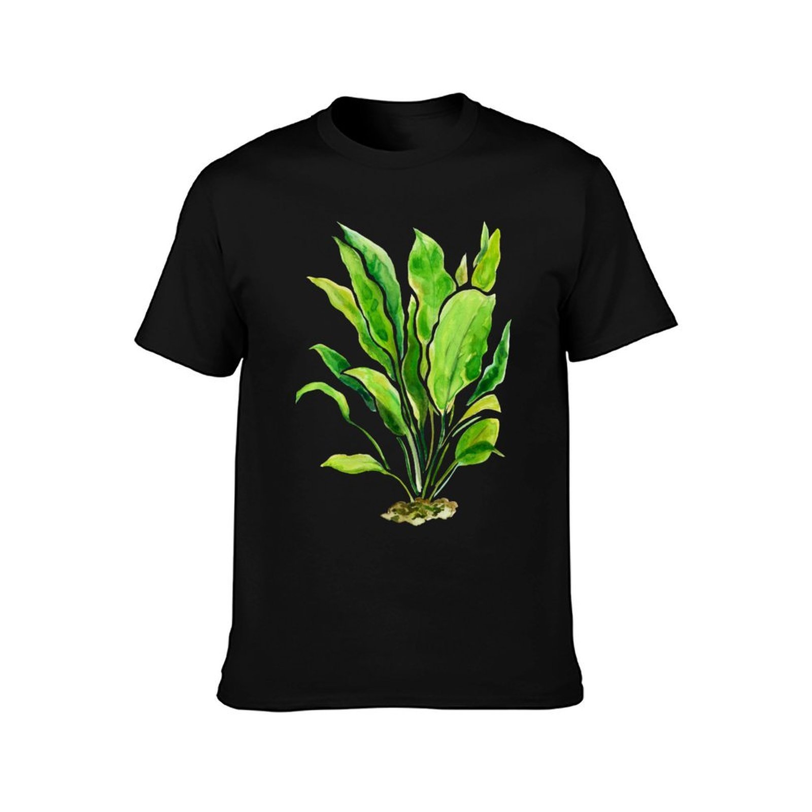 Koszulka z motywem roślin akwa – Planted Aquarium Basics recenzja i cena