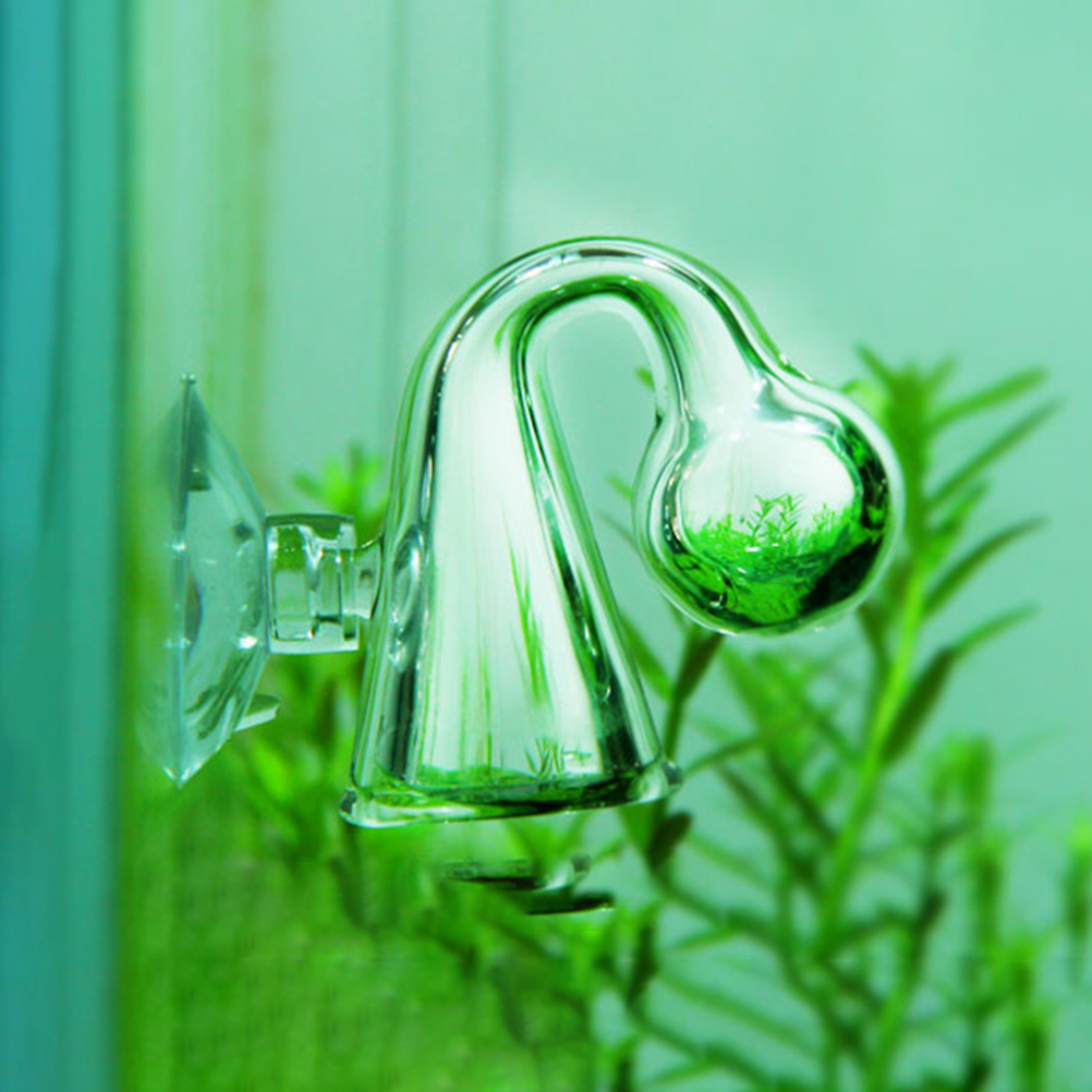 Akwarium CO2 Dyfuzyjny szklany – Planted Aquarium Equipment recenzja i cena