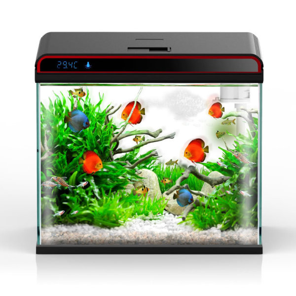 Sunsun 4-w-1 Kondycjoner do wo – Planted Aquarium Algae Control recenzja i cena