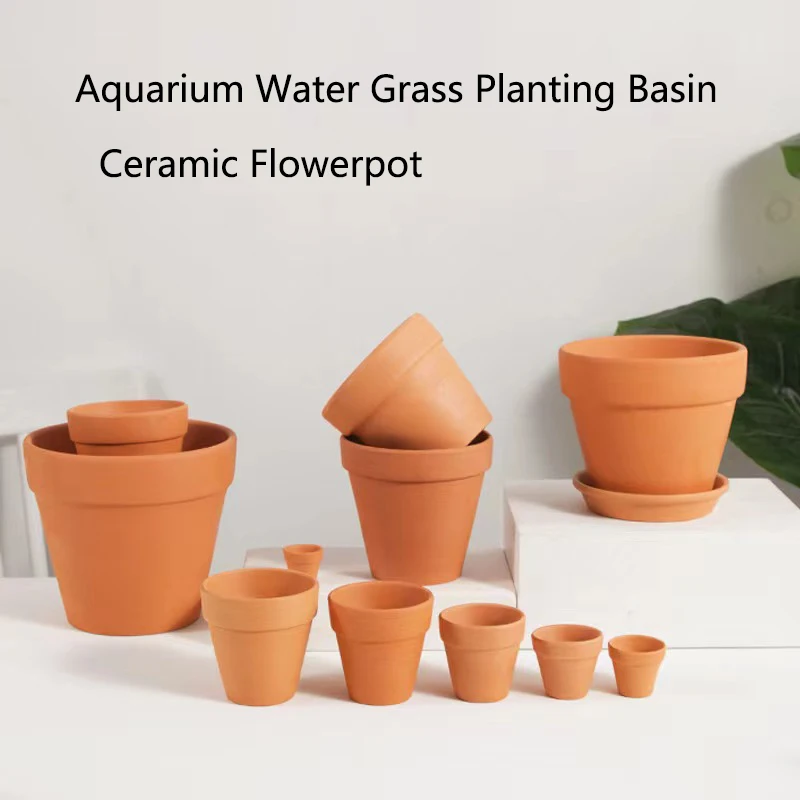 Czerwone błoto Dekoracja akwar – Planted Aquarium Mini recenzja i cena